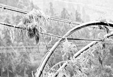 覆冰監測 覆冰監測